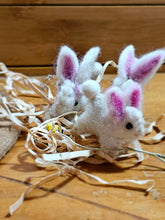 Load image into Gallery viewer, Mini Bunnies