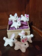 Load image into Gallery viewer, Mini Bunnies