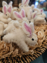 Load image into Gallery viewer, Mini Bunnies