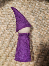 Load image into Gallery viewer, Bright Gnomes
