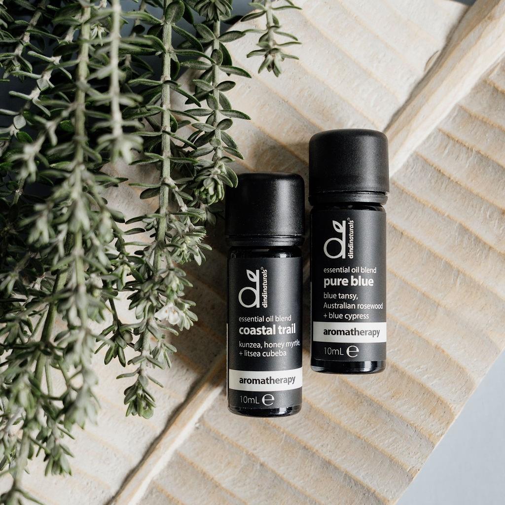essential oil blend coastal trail 10ml