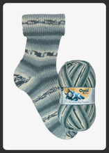 Load image into Gallery viewer, Opal 4Ply Sock Yarn