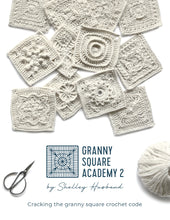 Load image into Gallery viewer, Granny Square Academy 2
