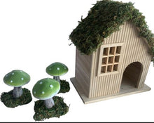 Load image into Gallery viewer, Green Mushrooms on Mossed rock