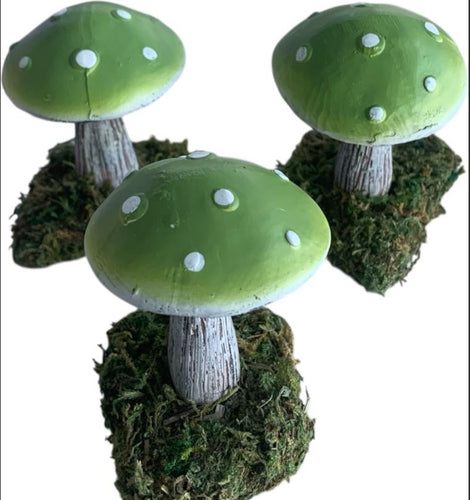 Green Mushrooms on Mossed rock