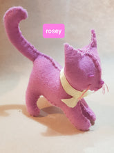 Load image into Gallery viewer, FELT TOYS