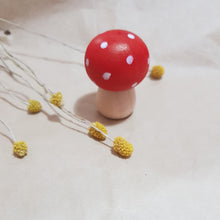 Load image into Gallery viewer, DOTTY TOADSTOOLS